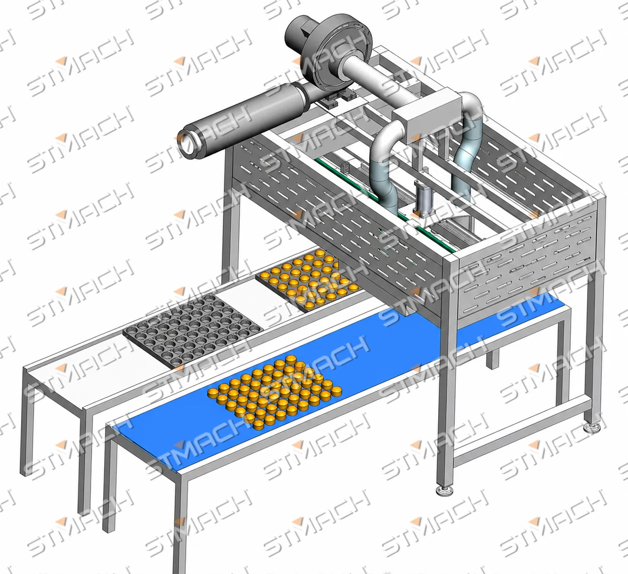 Vacuum Cake Conveyor